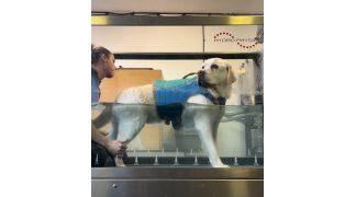 Aquatic Treadmill Services